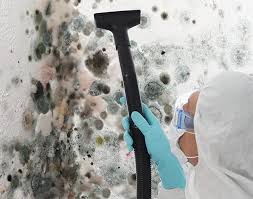 Best Mold Remediation for Rental Properties  in USA